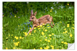 Naklejka na ścianę Roe Deer fawn running in flower meadow, Normandy