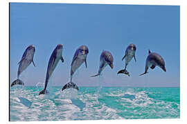 Magnettafel 6 Delfine springen aus dem Wasser