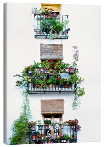 Quadro em tela Facade with balconies full of flowers in Valencia