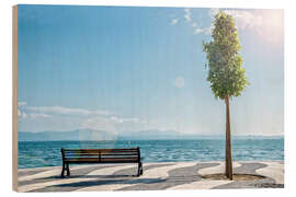 Obraz na drewnie Shore of Lake Garda with Alps on the horizon