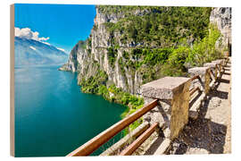 Holzbild Sommer Blick über den Gardasee