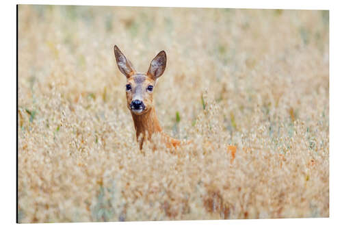 Aluminium print deer