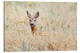 Aluminium print deer