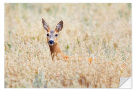 Vinilo para la pared deer