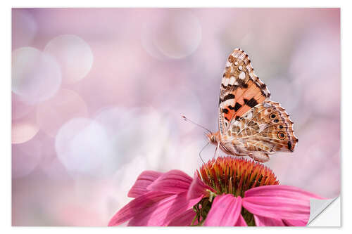 Vinilo para la pared  Painted Lady 