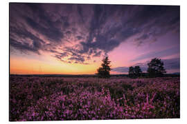 Magnettafel Mehlinger Heide