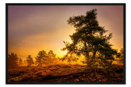 Gerahmter Kunstdruck Heidebaum