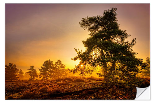 Vinilo para la pared Heide tree