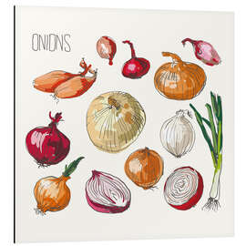 Magnettafel Zwiebel Collage