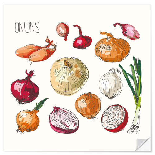 Självhäftande poster Onions collage