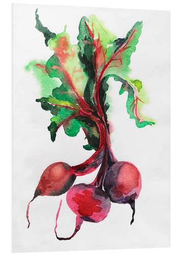 PVC-tavla Radish watercolor