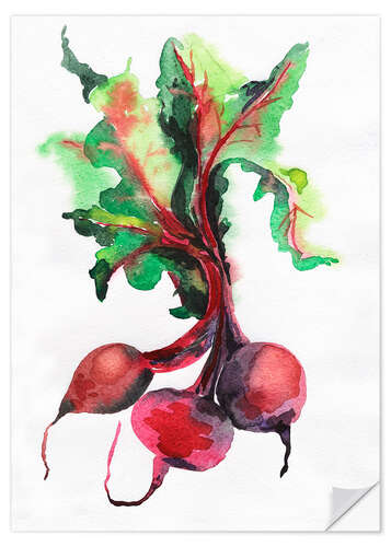 Vinilo para la pared Radish watercolor