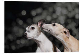 Foam board print Whippet friends