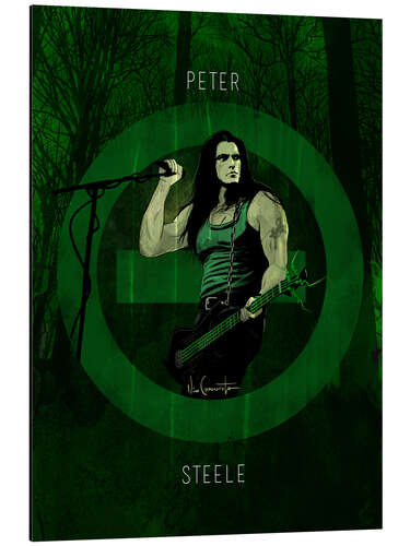 Cuadro de aluminio peter steele