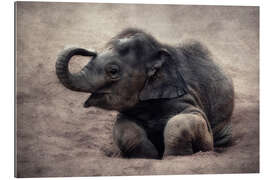 Gallery print Little elephant