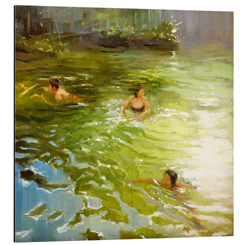 Aluminium print Wild swimming