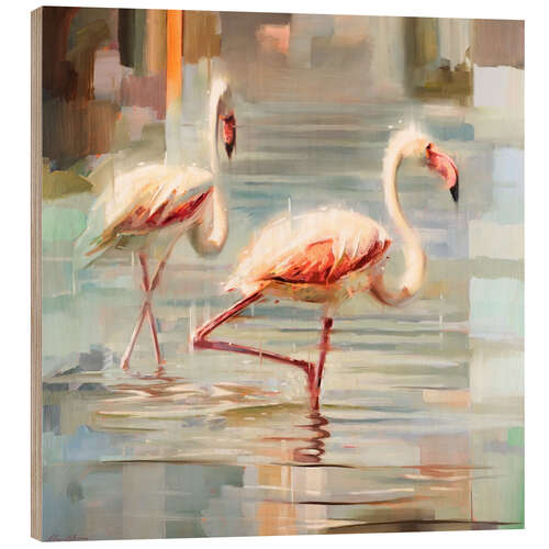 Trebilde Sardinian flamingos