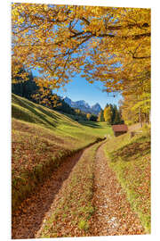 Foam board print Golden autumn in Bavaria