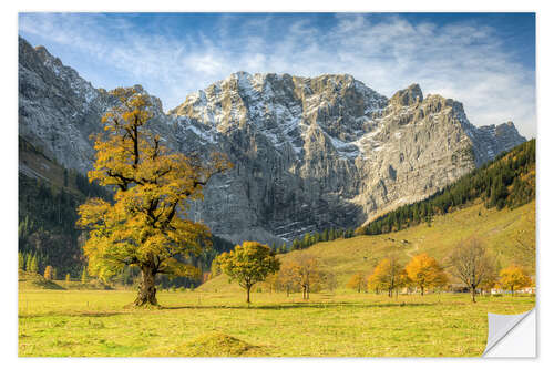 Sticker mural Large maple ground in Austria in autumn