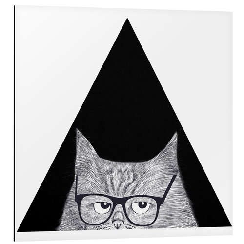 Aluminium print Smart cat in triangle