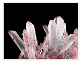 Billede  Pink Crystals - Emanuela Carratoni