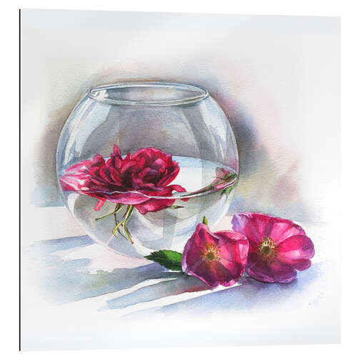 Gallery print Wild dog rose