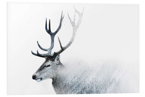 Foam board print Oh Deer