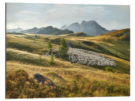 Magnettafel Der Hirte