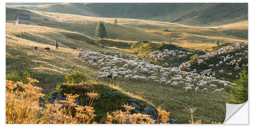 Vinilo para la pared The Shepherd II