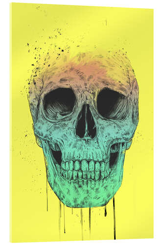 Acrylglasbild Pop art skull