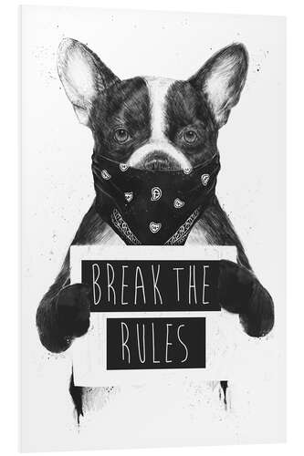 Quadro em PVC Break the rules