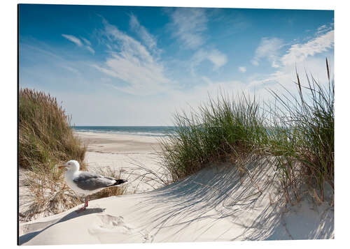 Aluminium print Sylt dune dream