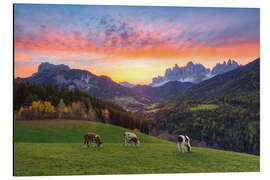 Aluminium print View into the Villnöss Valley in South Tyrol at sunrise