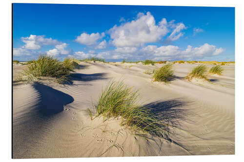 Aluminiumsbilde Landscape with dunes on the island Amrum