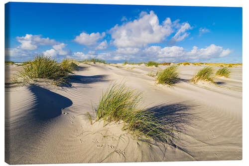 Leinwandbild Landschaft mit Dünen auf der Insel Amrum