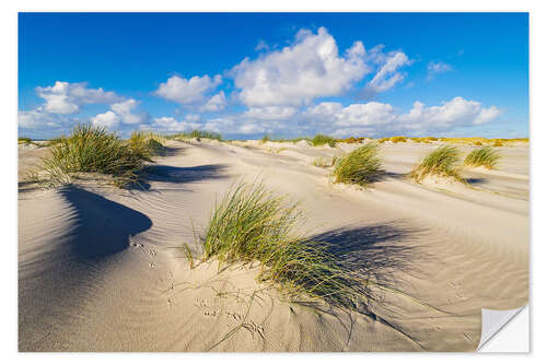 Naklejka na ścianę Landscape with dunes on the island Amrum