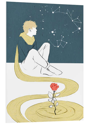 Foam board print Little Prince