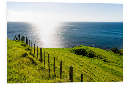 Foam board print Coromandel New Zealand