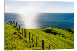 Gallery print Coromandel New Zealand