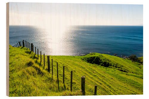 Trebilde Coromandel New Zealand