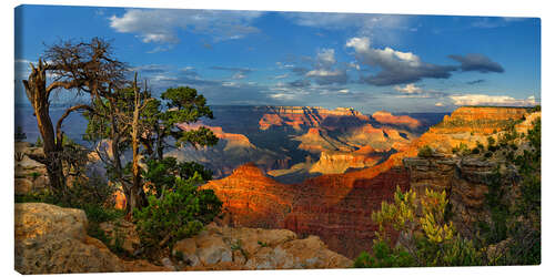 Leinwandbild Grand Canyon Idylle