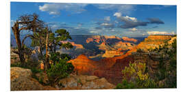 Foam board print Grand Canyon Idyll