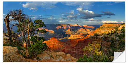 Selvklebende plakat Grand Canyon Idyll