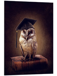 Aluminium print Wise owl