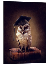 Gallery print Wise owl