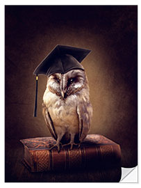 Sisustustarra Wise owl