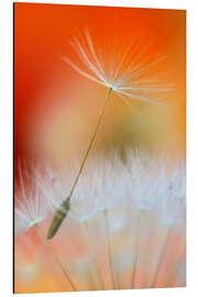 Magnettafel Pusteblumen Poesie