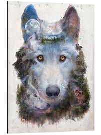 Aluminium print Wolf Pack