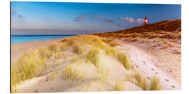 Quadro em alumínio Dunes at the North Sea