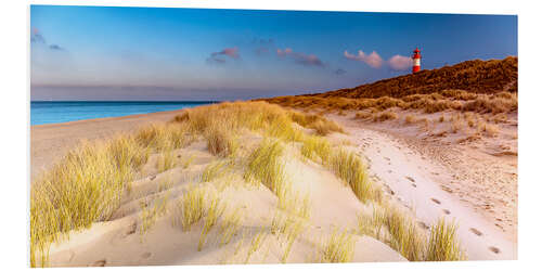 PVC print Dunes at the North Sea